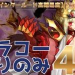 【FGO】宝具は必要なし。クリ殴りだけでビーストⅢ/Lを最短攻略してみた【ドラコー】