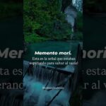 MEMENTO MORI.
