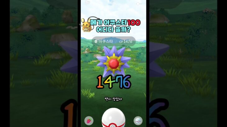 [포켓몬고] 메가아쿠스타 백 어디다 쓸까?