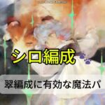 【メメントモリ　シロ編成】翠編成に有効な魔法パ