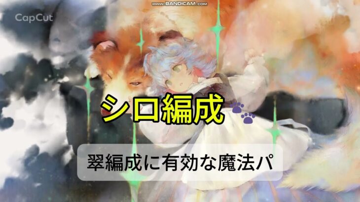 【メメントモリ　シロ編成】翠編成に有効な魔法パ