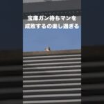 宝庫ガン待ちは止めた方が良い　#荒野行動