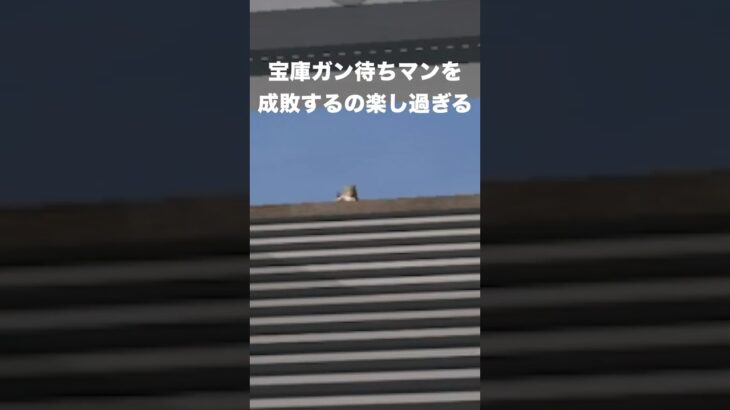 宝庫ガン待ちは止めた方が良い　#荒野行動
