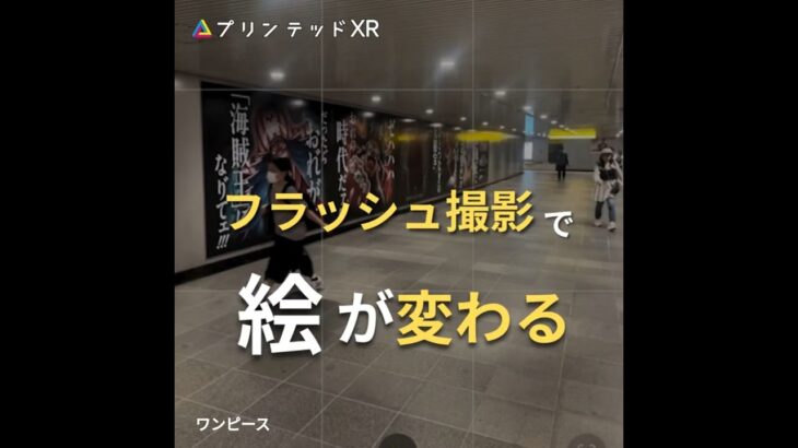 フラッシュ撮影で絵が変わる!? ONE PIECE トレクル12周年の仕掛け広告