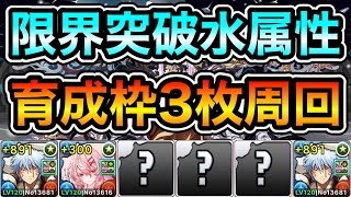 【パズドラ】別パターン！育成枠3枚,ユラのプラス上げできます！巨大希石などを集めよう！全敵対応！魔夏の+限界突破コロシアム！水の修練空間！1周4分20~30秒台！ずらしのみ！銀時編成でプラス上げ周回！