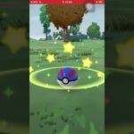 クスネコミュニティデイ #shorts #pokemon #ポケモン #ポケモンgo #色違い #おすすめ #バズれ #けーりんゲームズ