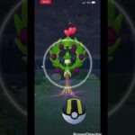 【ポケモンgo 】　野生のオリーヴァを捕獲！ #pokemon #pokemongo #ポケモン #ポケモンgo