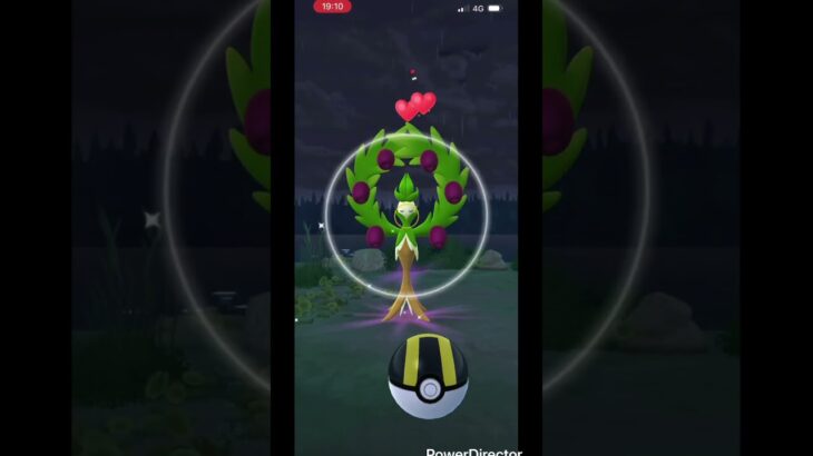 【ポケモンgo 】　野生のオリーヴァを捕獲！ #pokemon #pokemongo #ポケモン #ポケモンgo