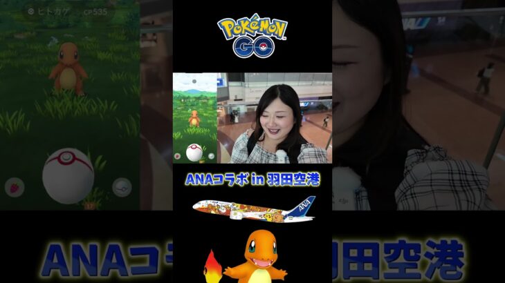 羽田空港でANAヒトカゲGET！ #ポケモンgo #pokemongo #shorts