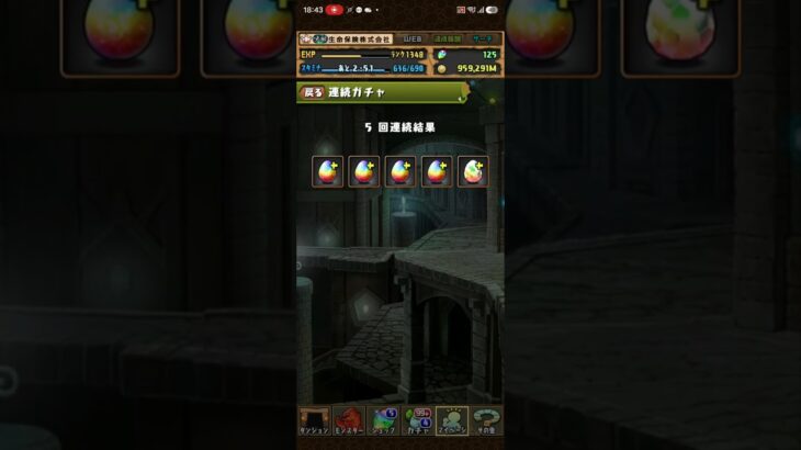 【パズドラ】 2026/08/01　ゴッドフェスガチャ5連