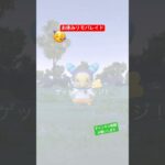 ☺️✨ #ポケモンgo #pokemongo #ポケモン #pokemon #ピカチュウ #pikachu #チャンネル登録お願いします #shorts