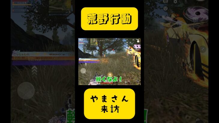 【荒野行動】やまさん来訪#荒野行動 #荒野 #shorts