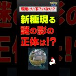 【新種！謎の黒い影を追って、急げ】 #ポケモンgo #pokemongo #ポケモン #ギモー #ベロバー #オーロンゲ