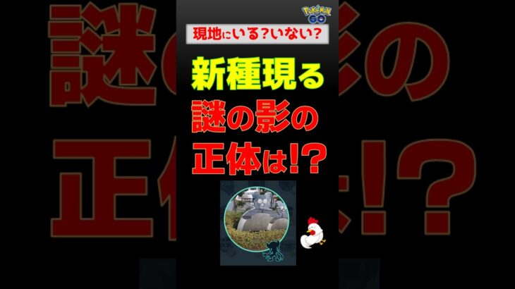 【新種！謎の黒い影を追って、急げ】 #ポケモンgo #pokemongo #ポケモン #ギモー #ベロバー #オーロンゲ