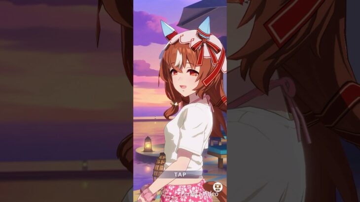 ウマ娘 プリティーダービー スティルインラブとウマさんぽ 夏休みver