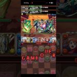 俺でなきゃ見逃しちゃう敗北【パズドラ】