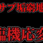 【トレクル】海賊祭グランドパーティ３日目！サブ垢はリーダー臨機応変に戦うしかないのか。