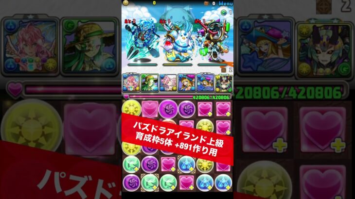 【育成枠5体】パズドラアイランド上級【#パズドラ/パズル&ドラゴンズ】 #夏休み #上級 #+891作り