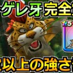 【ドラクエウォーク】ゲレゲレファングを覚醒千里行で使った結果！ケキ月輪に並ぶポテンシャル見せてきたぞｗｗ