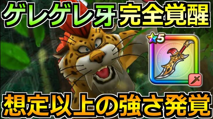【ドラクエウォーク】ゲレゲレファングを覚醒千里行で使った結果！ケキ月輪に並ぶポテンシャル見せてきたぞｗｗ
