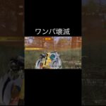【荒野行動】 ワンパ壊滅 #荒野行動 #shorts