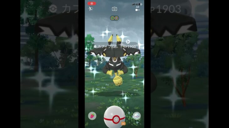 色背景はうれしいよ😭 #ポケモンgo #pokemongo #shorts
