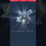 交換の日は伝説キラポケモン狙い！成功🥰⁇【ポケモンGO】#shorts #トレード #pokemon
