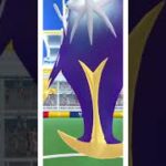 【６０代金無し生活】ポケモンＧＯ　ルナアーラ レイドデイの結果