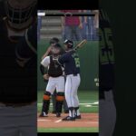 プロ野球スピリッツA（Professional Baseball Spirits A）巨人VSヤクルト