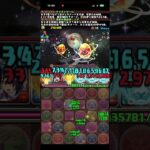 お月見チャレンジ！　十六夜【超重力】#パズドラ　#パズル　#お月見　#チャレンジ　#イベント　#ガンホー