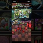 なんでそんな残り方！？【パズドラ】