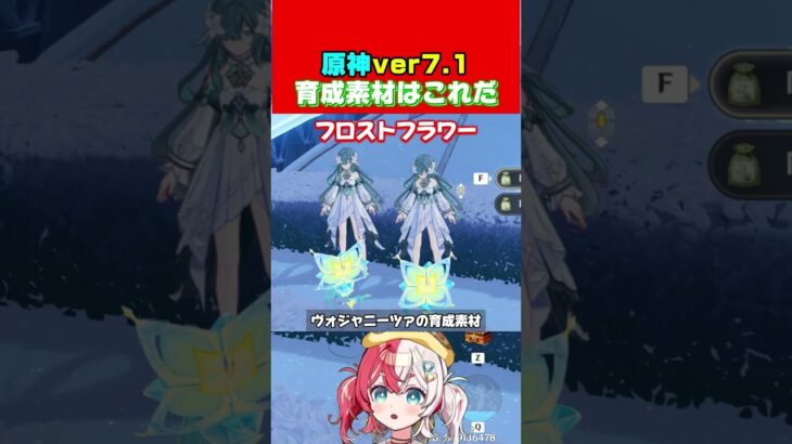 【原神】引く予定の人必見！育成素材まとめヴェスナ＆ヴォジャニーツァ【原神:女性VTuber】#genshinimpact #genshin #原神