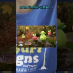 【ポケモンGO】ついにカジッチュ色違い！収穫祭イベント開催！！ #ポケモンgo #イベント #色違い #初登場 #激アツ