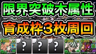 【パズドラ】育成枠3枚！巨大希石などを集めよう！+限界突破コロシアム！木の修練空間！1周3分10~30秒台！ずらしのみ！シルヴィ×大天狗編成で高速プラス上げ周回！