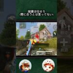 援護は軍曹の花道 #荒野行動#りんぐん作戦本部#ゲーム実況#おもしろ#救助
