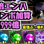 【僕が考えた最強の】100倍エンハ10コンボ加算上限999億はふざけすぎだろｗｗｗ 黒崎一護 BLEACHコラボ【パズドラ】