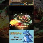 [パズドラ]  広告ガチャ　2026/8/11〜8/20