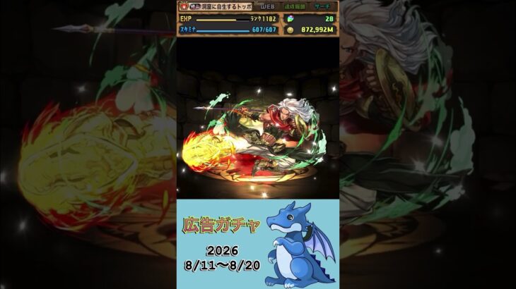 [パズドラ]  広告ガチャ　2026/8/11〜8/20