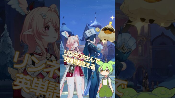リンネアさんで英単語覚える go lumi #原神 #英語 #リンネア