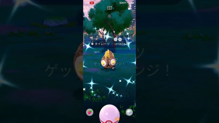 タイレーツ　色違い　背景　ポケモンGO