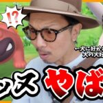 【ポケモンGO】えええっ！？とんでもない犬が出現しました。【チームメガ】