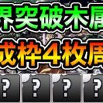 【パズドラ】育成枠4枚！巨大希石などを集めよう！+限界突破コロシアム！木の修練空間！1周3分台！ほぼずらし！ウミサチヤマサチ編成で高速プラス上げ周回！