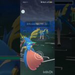 ポケモンGOバトルリーグ　メガマスターリーグ 33