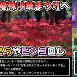 【ドラクエウォークLive】7周年記念 未知への道イベント周回と巾着田曼殊沙華まつりへ【ツイキャス、ニコ生同時配信】