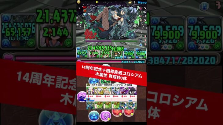 【育成枠3体】木属性【#パズドラ/パズル&ドラゴンズ】 #14周年記念＋限界突破コロシアム #学園ウミサチヤマサチ #891作り