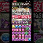 『黒崎一護』汎用編成で天穹初見攻略【パズドラ】