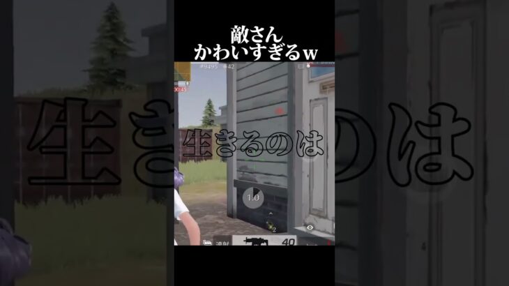 【泣く】敵の連携がうますぎるｗｗｗ【荒野行動】【れんぴき】