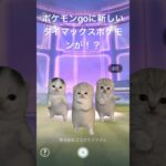 ポケモンgoに！？強そうだな猫３匹笑＃ポケモンgo