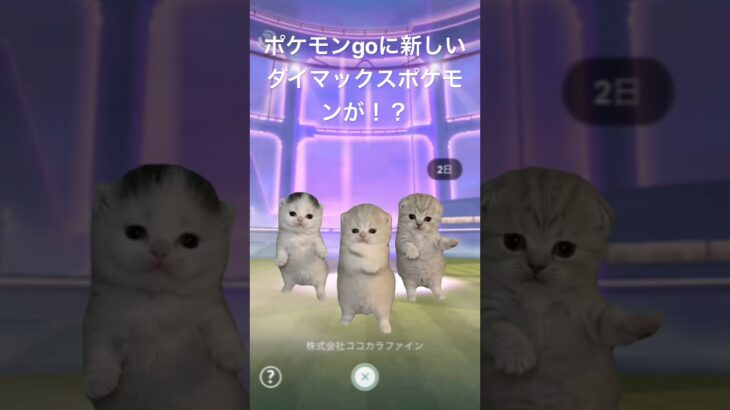 ポケモンgoに！？強そうだな猫３匹笑＃ポケモンgo
