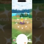 ✨WOW! Shiny Shadow Torchic CAUGHT In Pokemon Go!✨ #shorts #pokemon